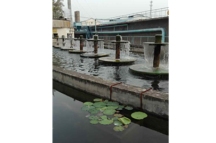 技改創(chuàng)新謀發(fā)展 開(kāi)創(chuàng)永威新天地